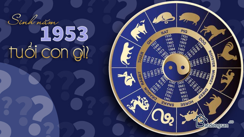 Sinh năm 1953 tuổi con gì? Sinh năm 1953 tuổi con gì?